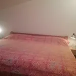 Zarok * Baška